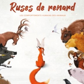 Ruses de renard de Danny de Vos et Arnold&nbsp;Hovart