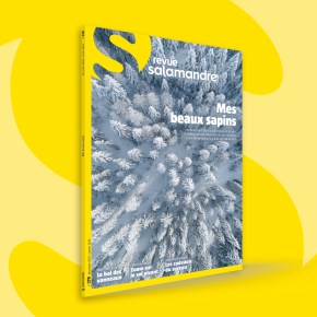 La Salamandre : Décembre 2023 – Janvier&nbsp;2024