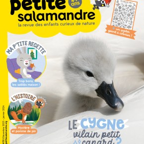 Petite Salamandre, 4-7 ans : Décembre 2023 – Janvier&nbsp;2024