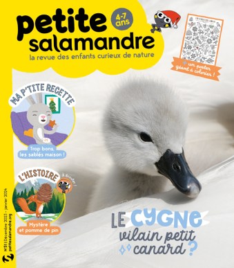 PSA51_Couv-ABO_600px