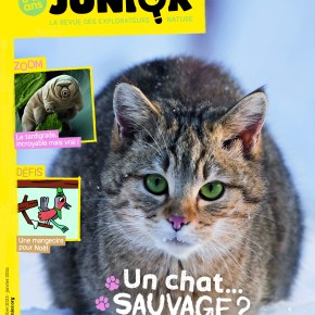 Salamandre Junior, 8-12 ans : Décembre 2023 – Janvier&nbsp;2024