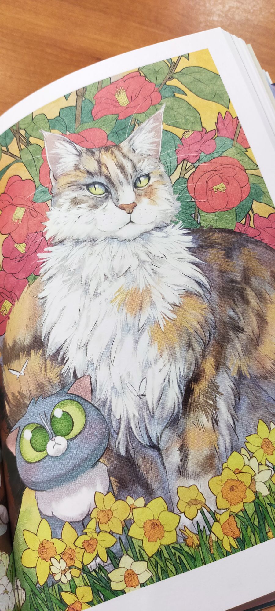 img202401051703582008066405511769868