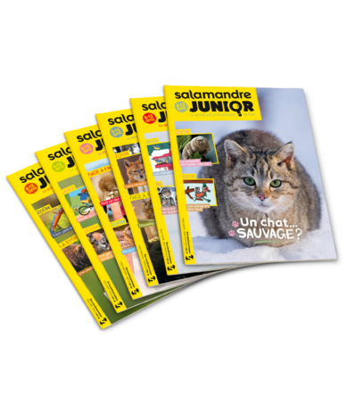 abonnements-salamandre-junior_6543cc5ccdbcb
