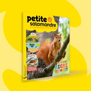 Petite Salamandre, 4-7 ans : février – mars&nbsp;2024