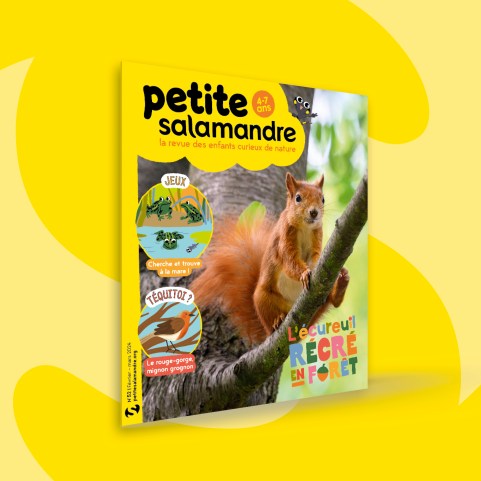 Fonds_Revues_fevrier2024_PSA