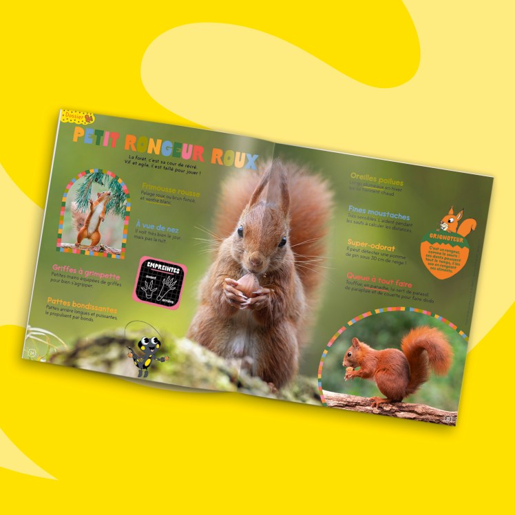 Fonds_Revues_fevrier2024_PSA2