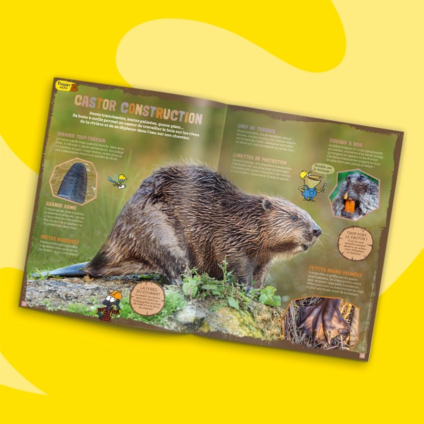 Fonds_Revues_fevrier2024_SAJ2