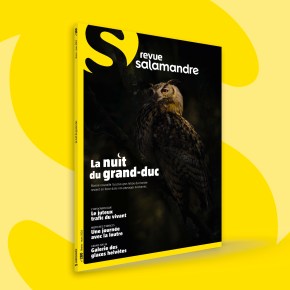 La Salamandre : Février – Mars&nbsp;2024