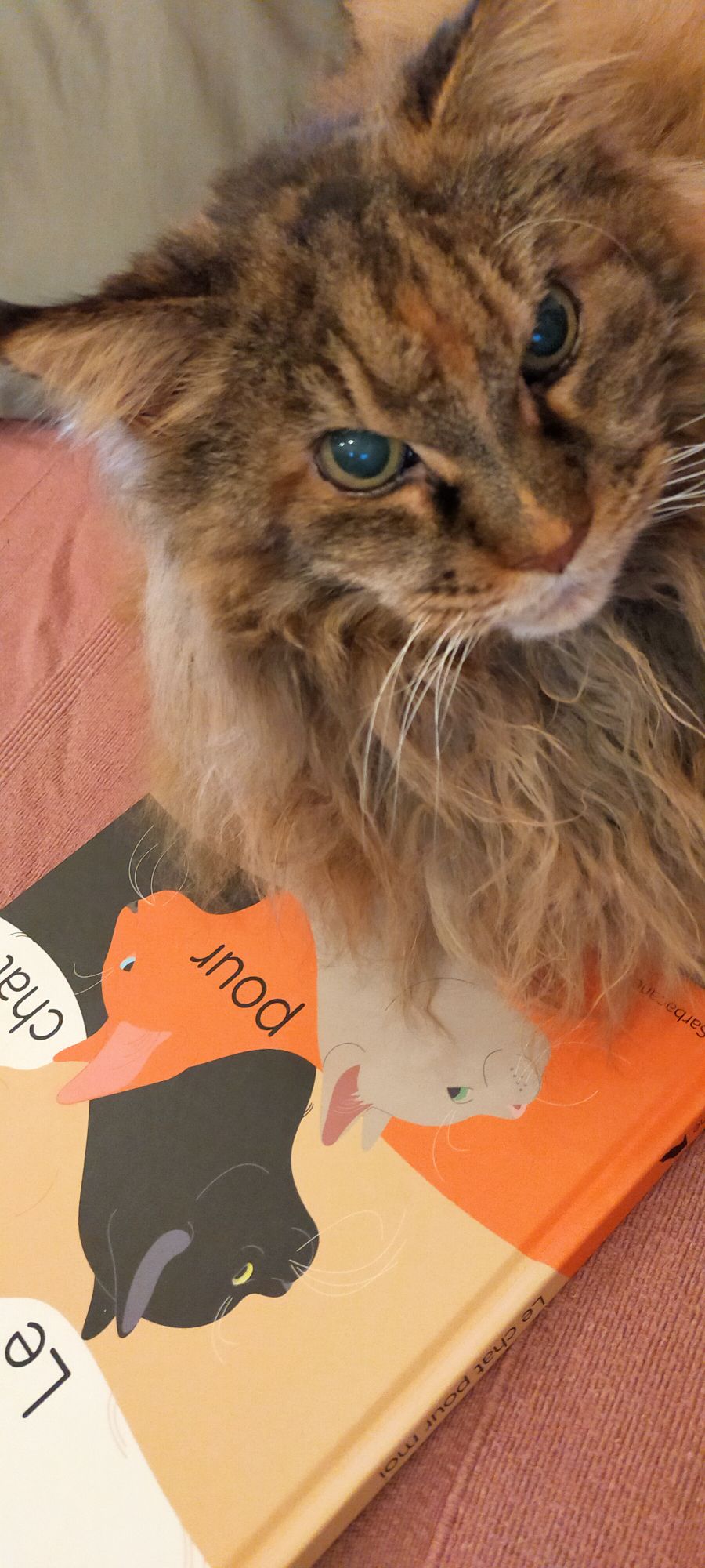 img202402231952034494296672236813283