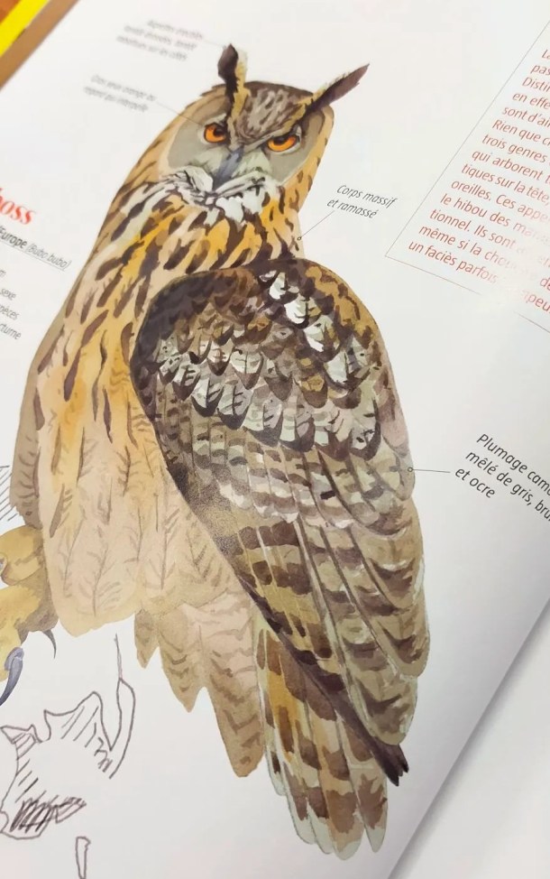 img202402281134056057696205529816079