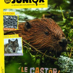 Salamandre Junior, 8-12 ans :Février-Mars&nbsp;2024