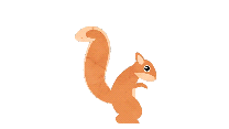 squirrel-animated-gif-30.gif