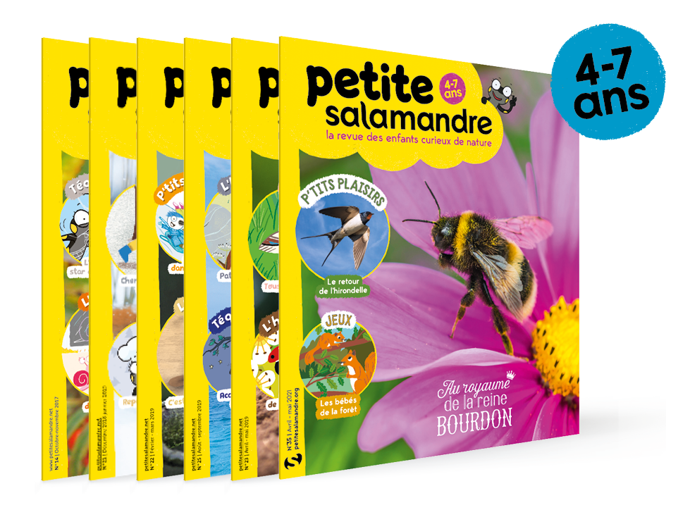 visuel_siteecole_abo_psa_470x344px