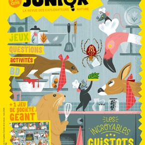 Salamandre junior, 8-12 ans Hors Série n°10 : Les Incroyables Cuistots de la&nbsp;nature