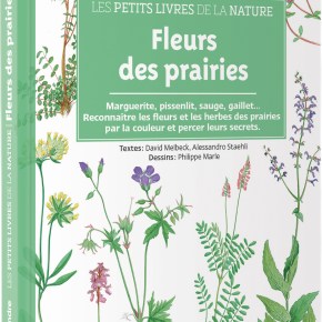 Les Petits Livres de la nature : Fleurs des&nbsp;prairies