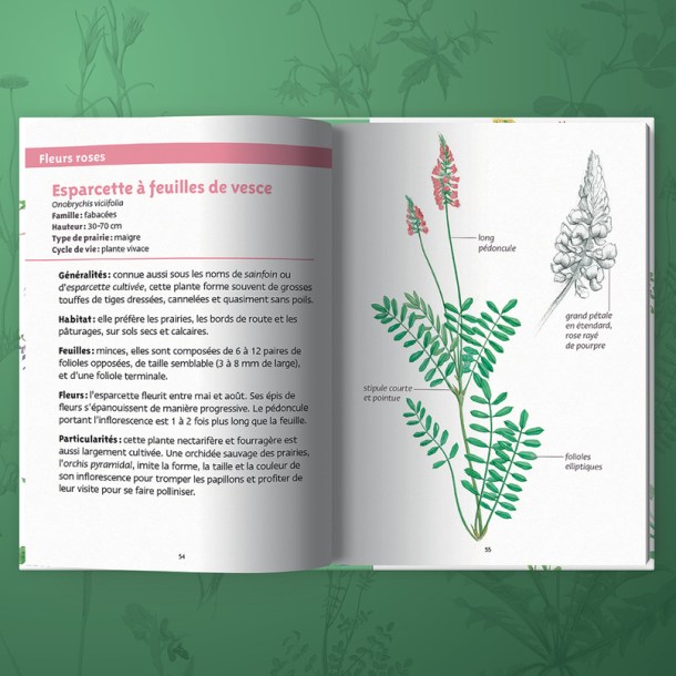 d_1872_fr_660ec0c9877c5