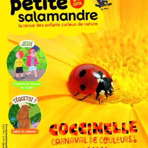 Petite Salamandre, 4-7 ans : avril-mai&nbsp;2024