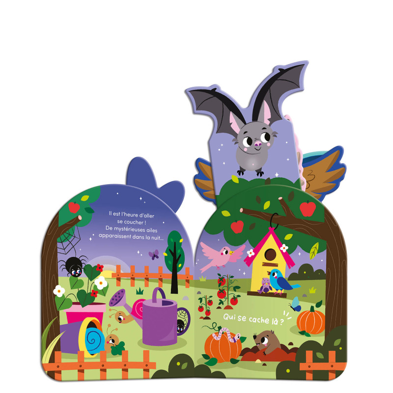 auzou-livre-a-qui-sont-ces-paires-dailes