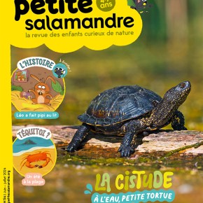 Petite Salamandre, 4-7 ans : juin-juillet&nbsp;2024