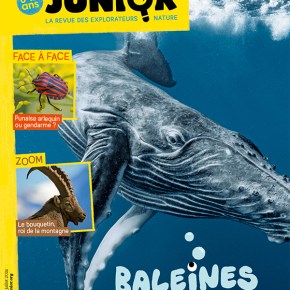 Salamandre Junior, 8-12 ans : Juin-Juillet&nbsp;2024