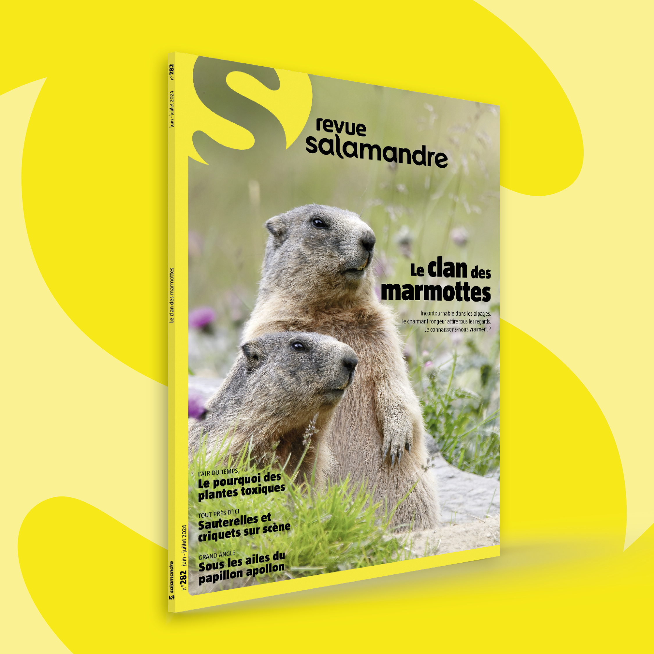 Fonds_Revues_juin-juillet2024_SAL