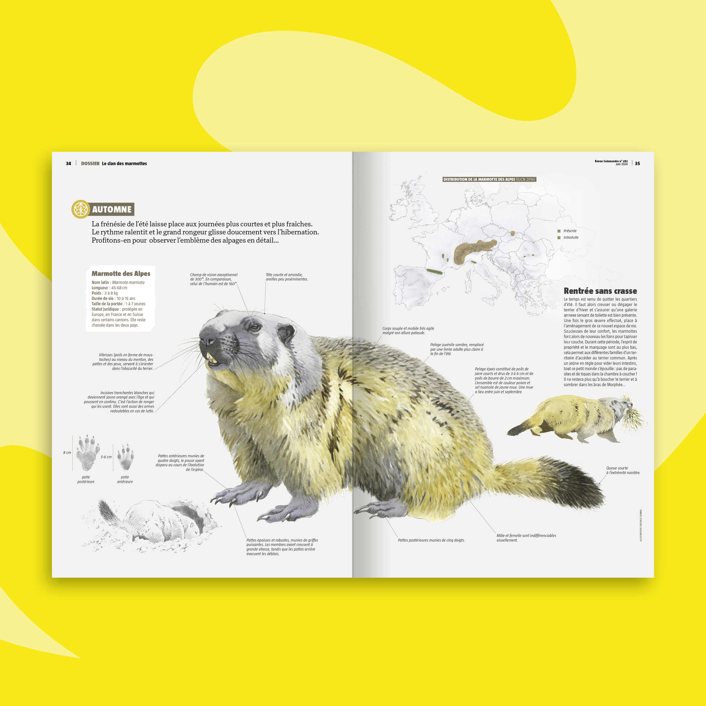 Fonds_Revues_juin-juillet2024_SAL2