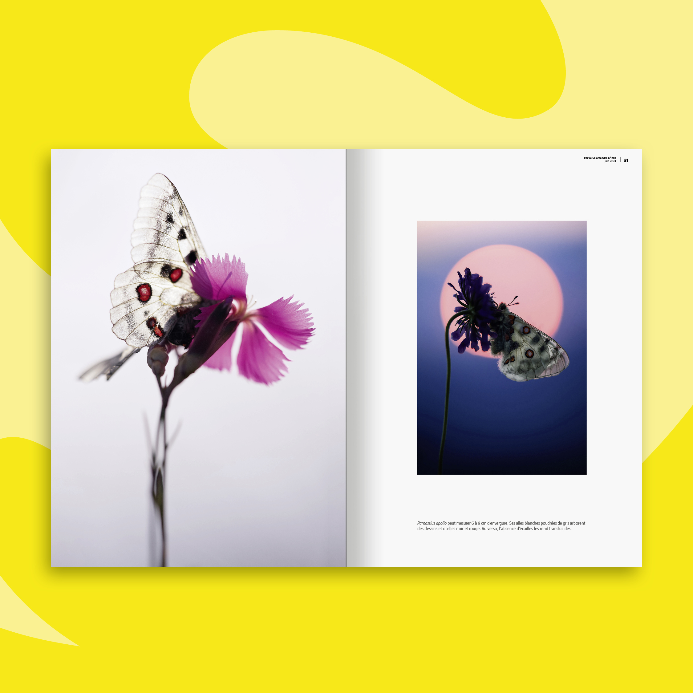 Fonds_Revues_juin-juillet2024_SAL3