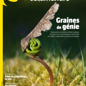 La Salamandre : Août-Septembre&nbsp;2024