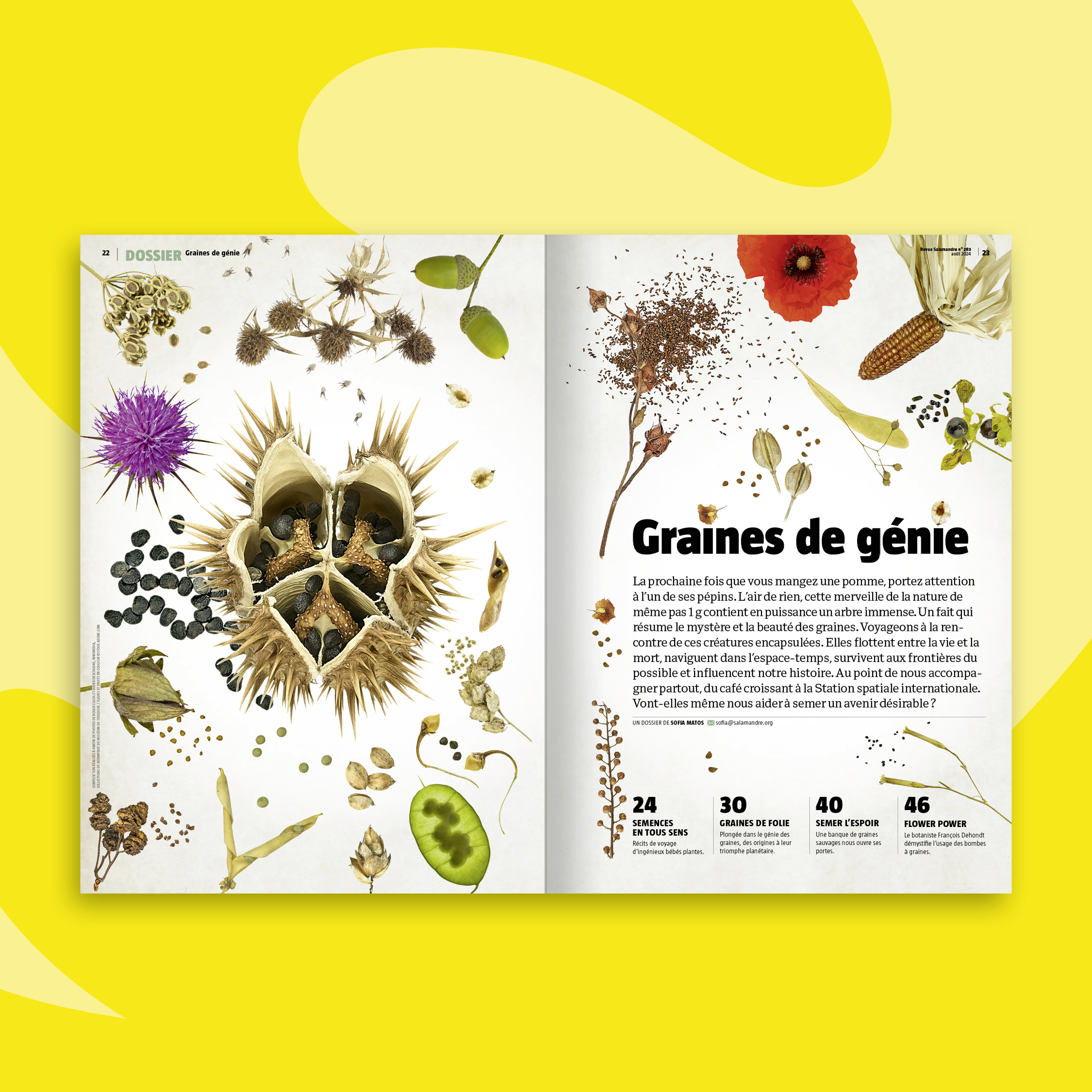 Fonds_Revues_Aout-sept2024_SAL2