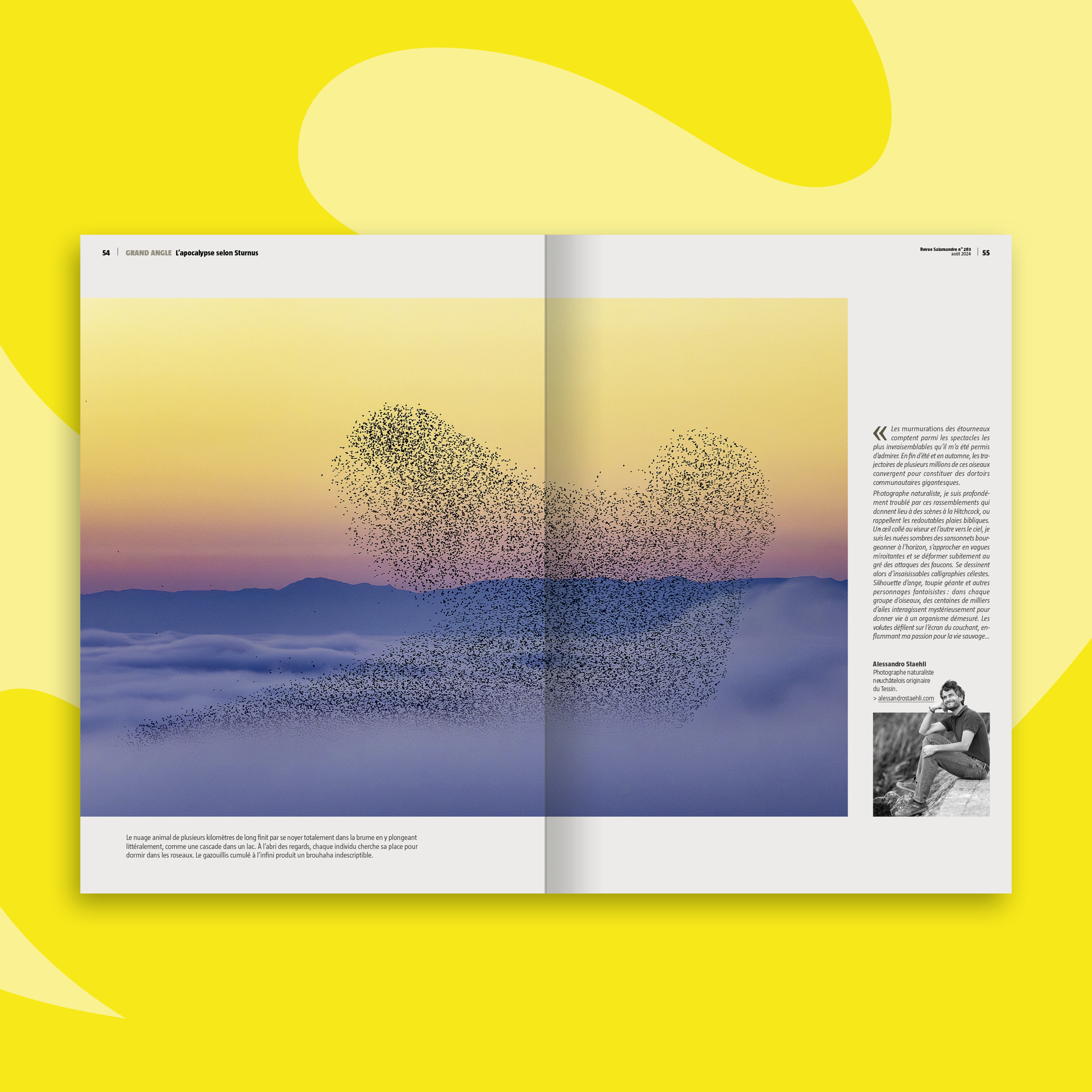 Fonds_Revues_Aout-sept2024_SAL3