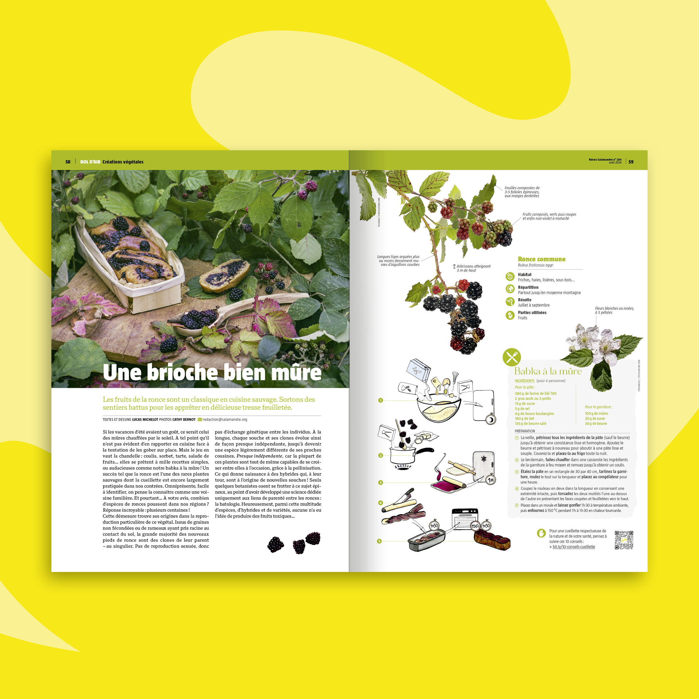 Fonds_Revues_Aout-sept2024_SAL4