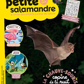 Petite Salamandre, 4-7 ans : août-septembre&nbsp;2024