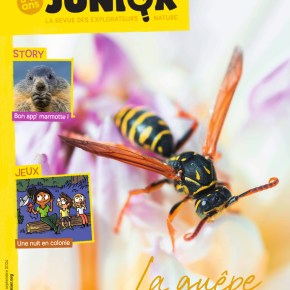 Salamandre Junior, 8-12 ans : Août-Septembre&nbsp;2024