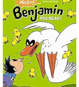 Méchant Benjamin – 2. Pas beau ! de Carine De&nbsp;Brab