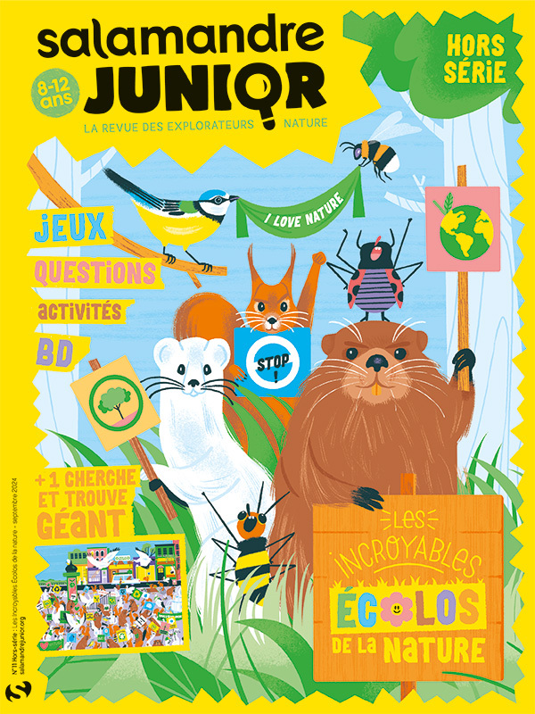 HSSAJ11_Couv-ABO_600px