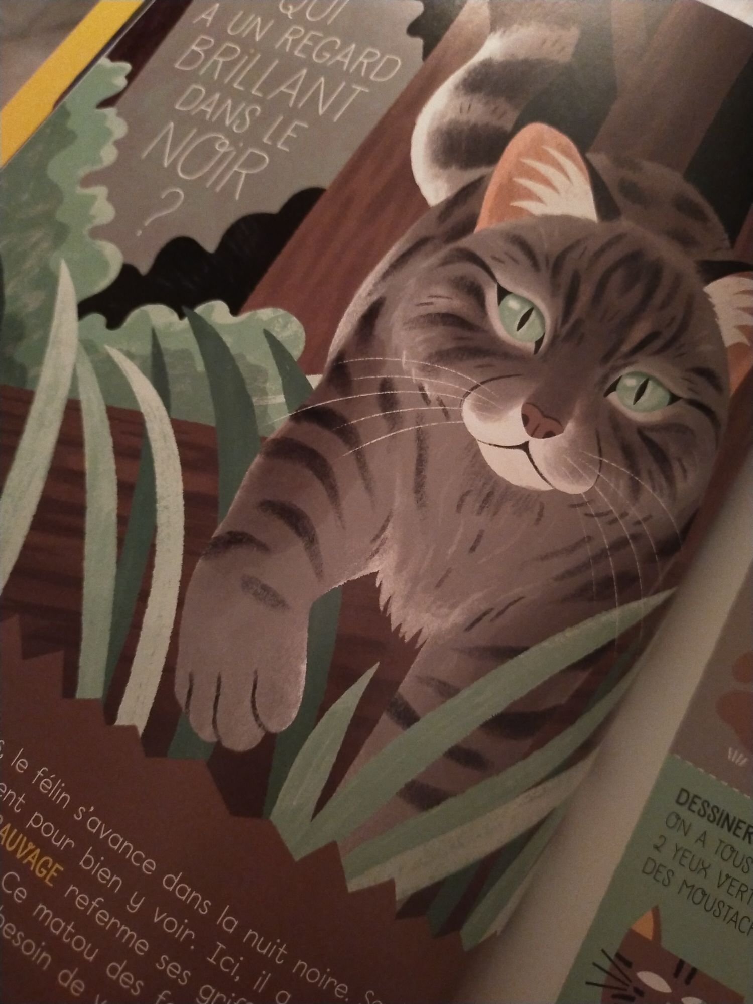 img20240918214704692400590467777322