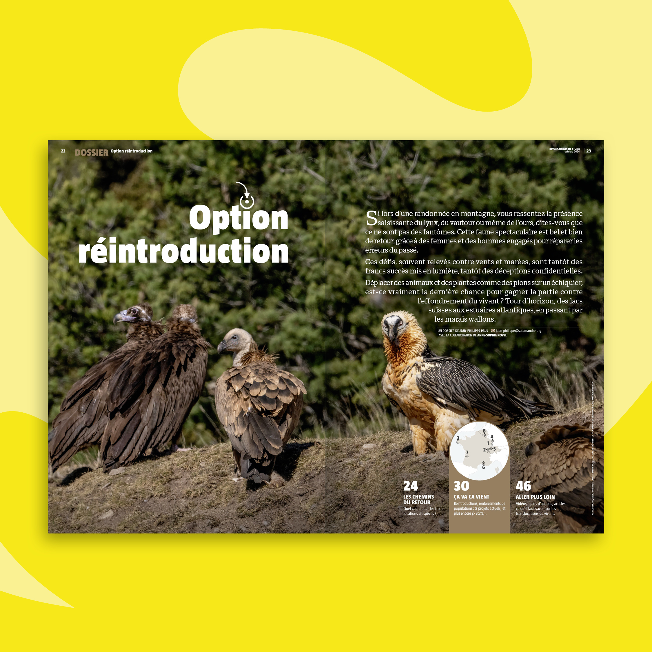 Fonds_Revues_OCT-NOV24_SAL2