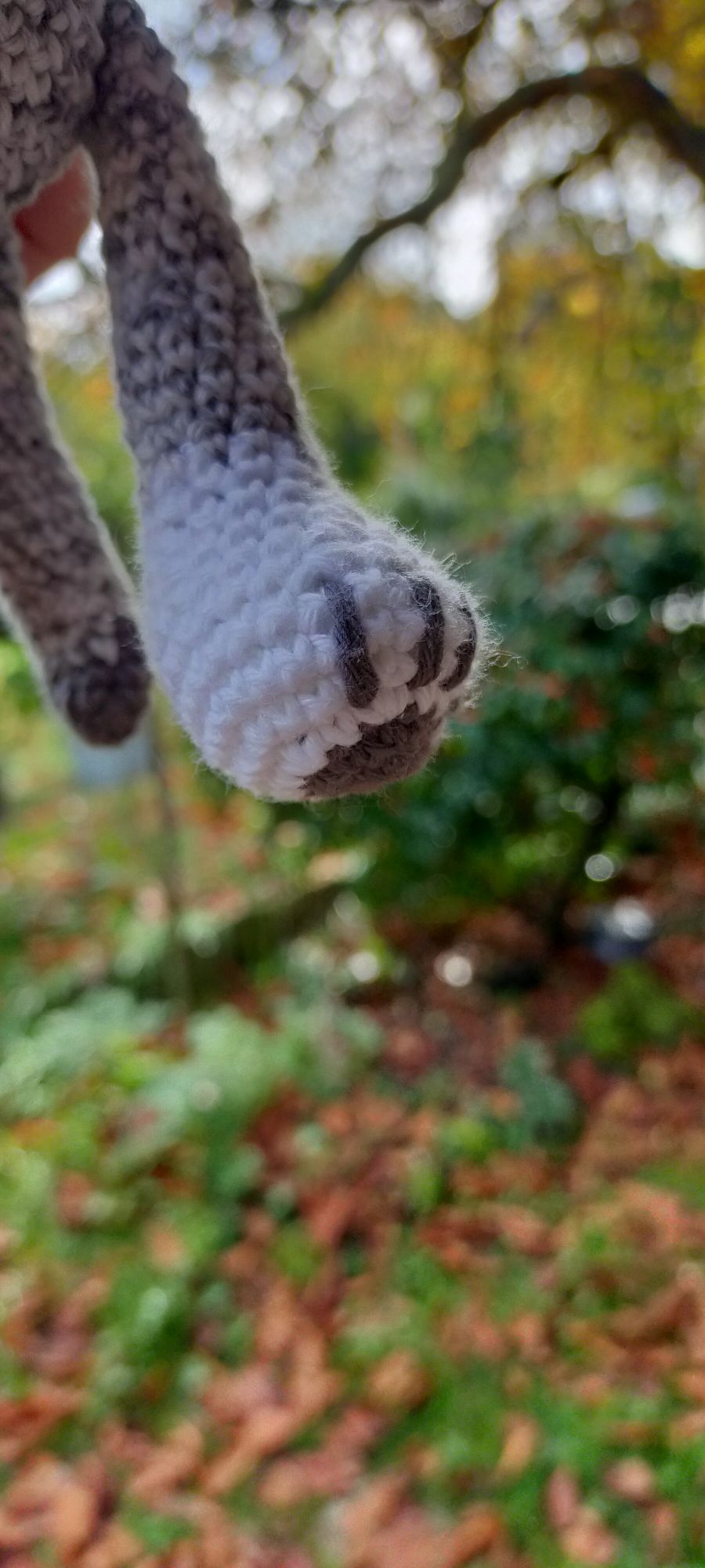 img202410111134122740947964679311248