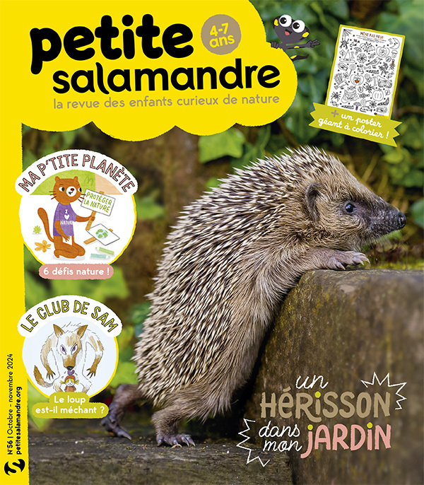 PSA56_Couv-ABO_600px