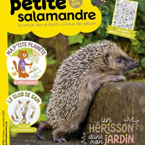 Petite Salamandre, 4-7 ans : octobre-novembre 2024