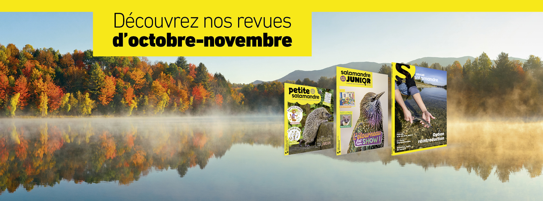 SAL284_couv_FB_851x315px