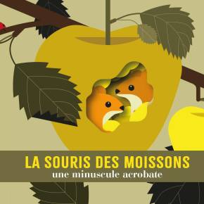 La Souris des moissons, une minuscule acrobate de Cécile&nbsp;Jacoud