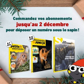 Et si vous offriez un abonnement pour Noël&nbsp;?