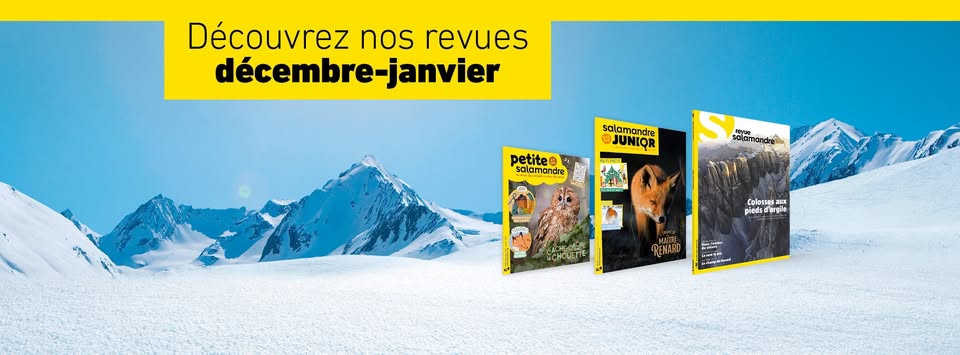 468715302_1042970867840937_8476527217106797352_n