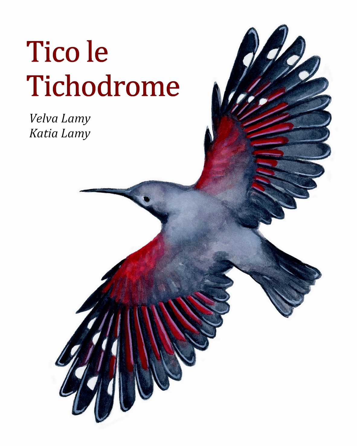 Couverture Tico 20x25_page-0001