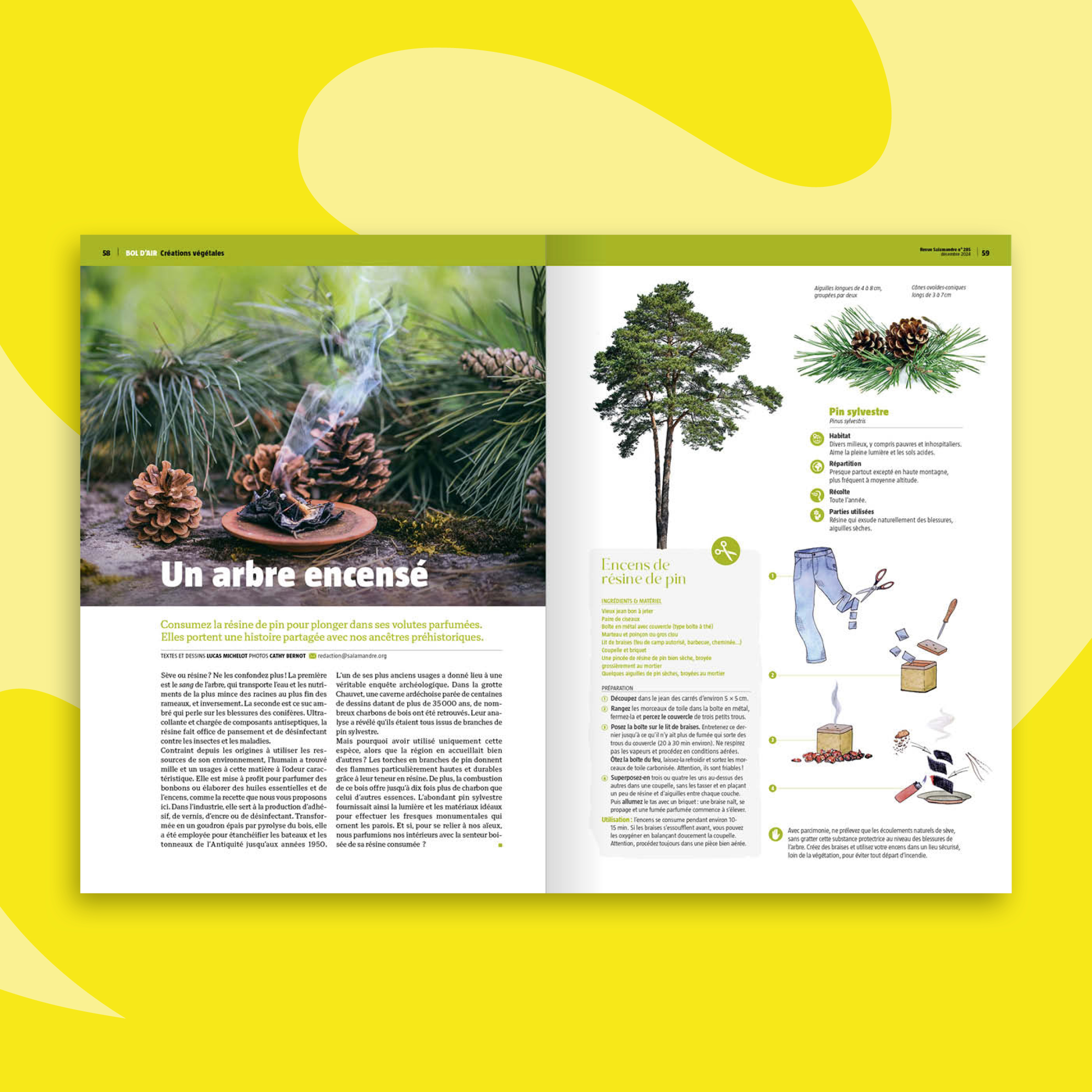 Fonds_Revues_DEC-JANV25_SAL4