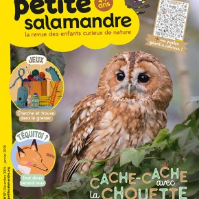 Petite Salamandre, 4-7 ans : décembre 2024 – janvier&nbsp;2025