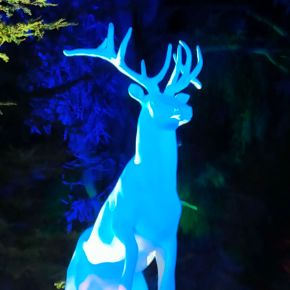 L&rsquo;Expérience de la Forêt Interdite – Harry&nbsp;Potter