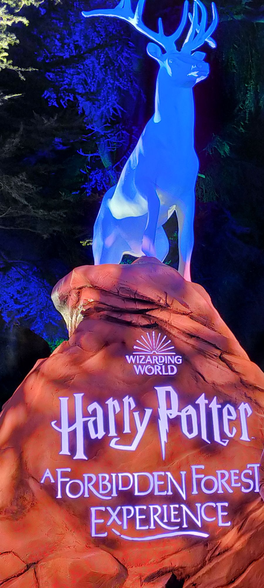 img202501042005346502543962205775738