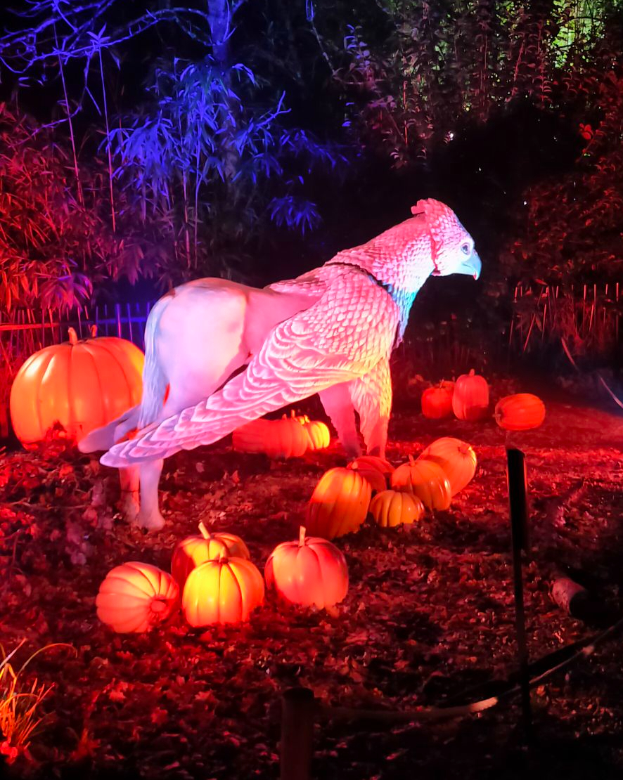 img202501042008348918320057204083160